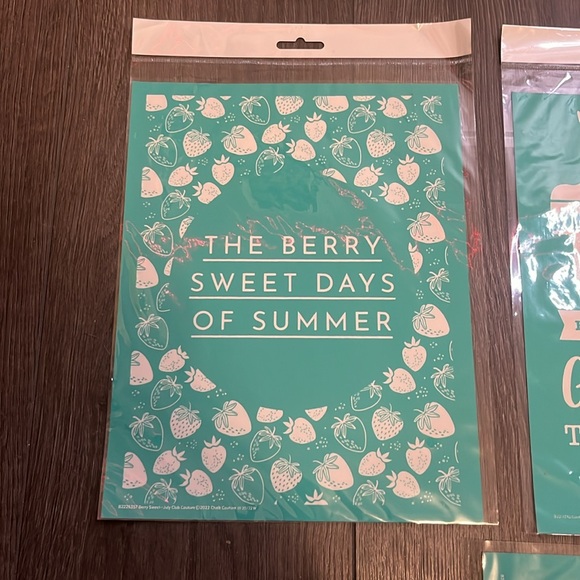 Chalk Couture Medium Transfers Bundle Or Singular 8.5x11 - Picture 4 of 8